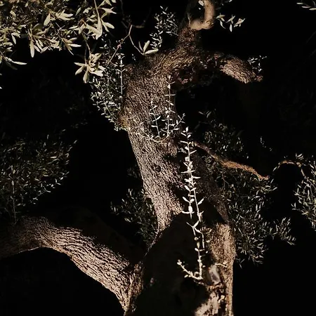 住宿加早餐酒店 Almasol - Charme Experience 卡斯特拉纳格罗泰