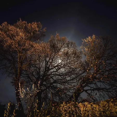 Bed and breakfast Almasol - Charme Experience 4*