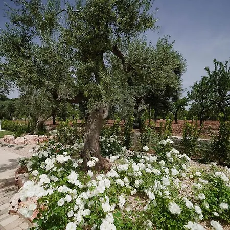 Bed & Breakfast Almasol - Charme Experience Castellana Grotte